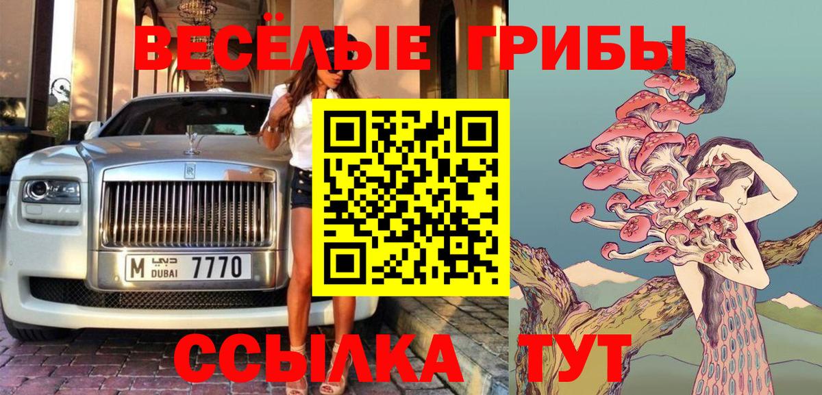 Псилоцибиновые грибы GOLDEN TEACHER Сланцы