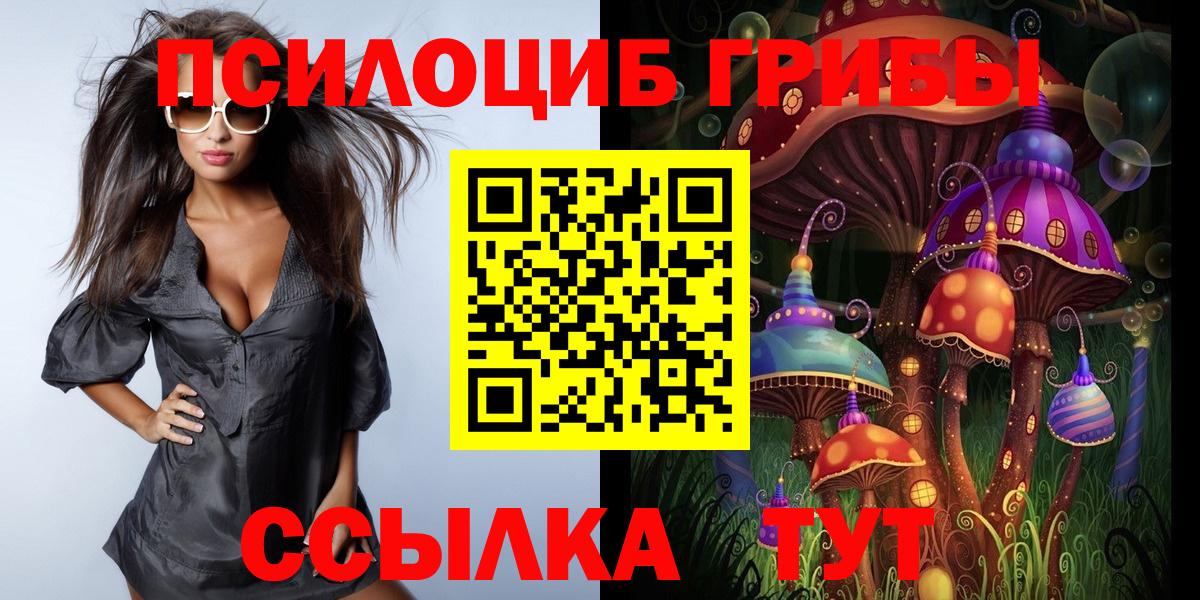Галлюциногенные грибы MAGIC MUSHROOMS  Вход с VPN  Галлюциногенные грибы Magic Shrooms  Сланцы 