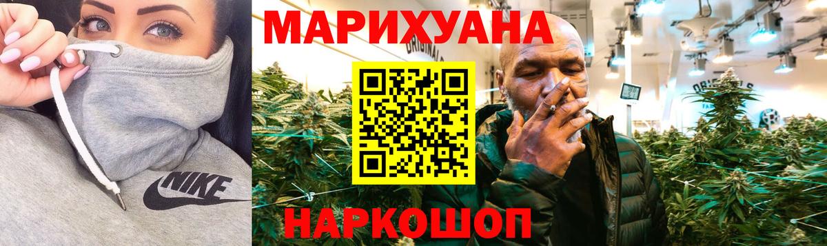 Бошки марихуана семена  Вход с VPN  МАРИХУАНА Ganja  Сланцы  Каннабис индика 