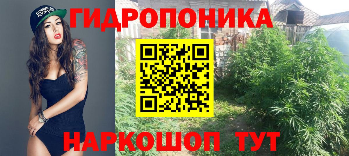 Каннабис LSD WEED Сланцы